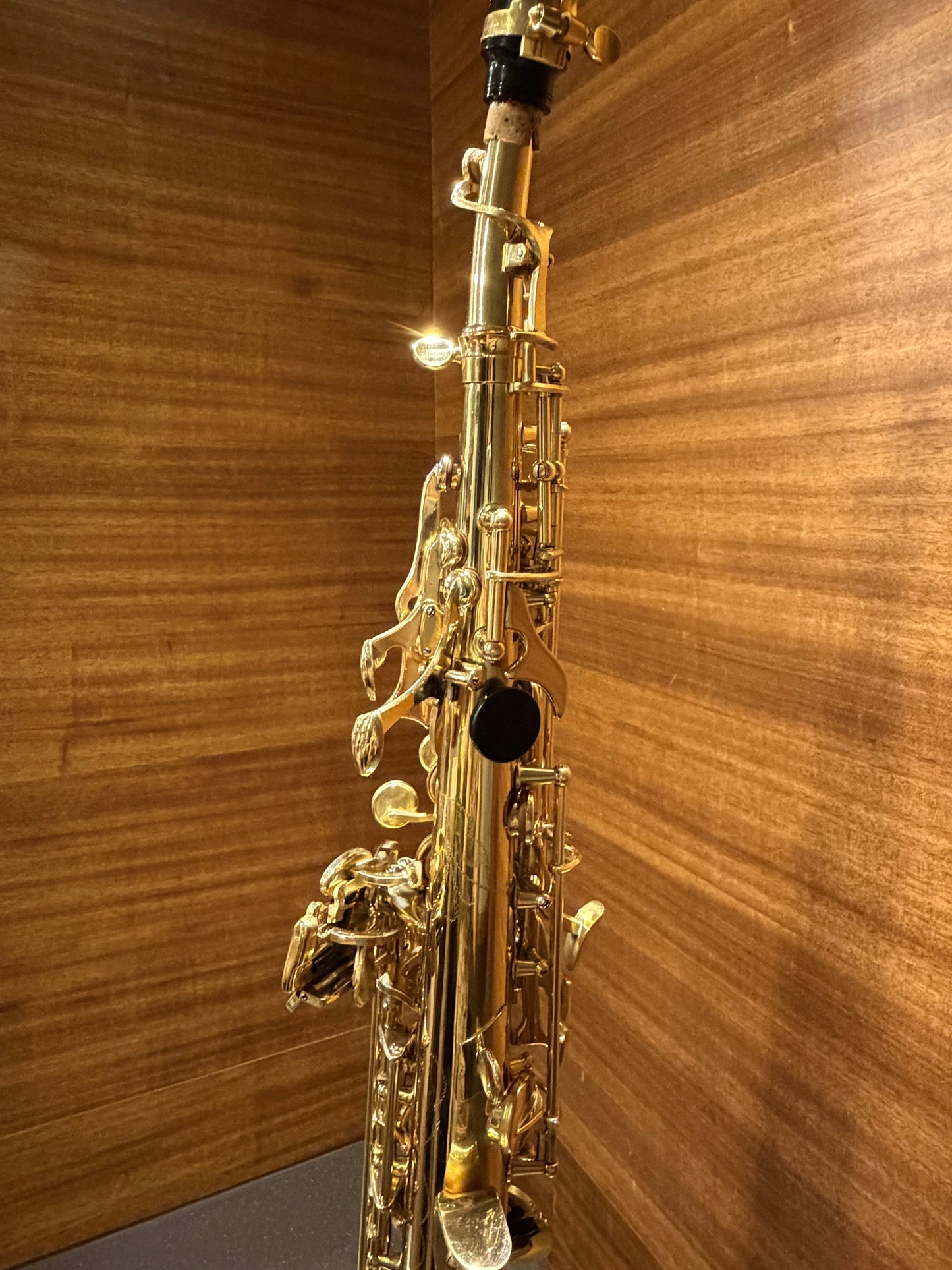 出租 - 高音薩克斯風 Soprano Saxophone