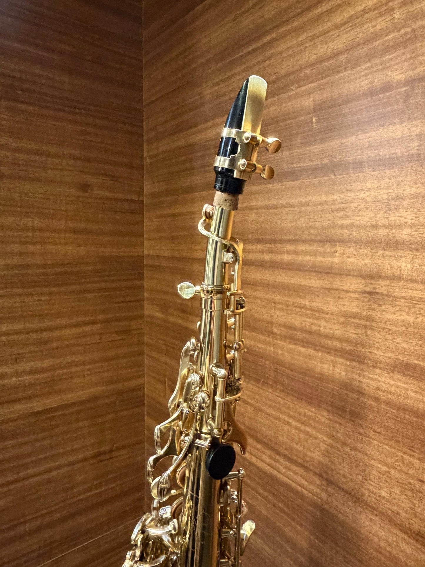出租 - 高音薩克斯風 Soprano Saxophone