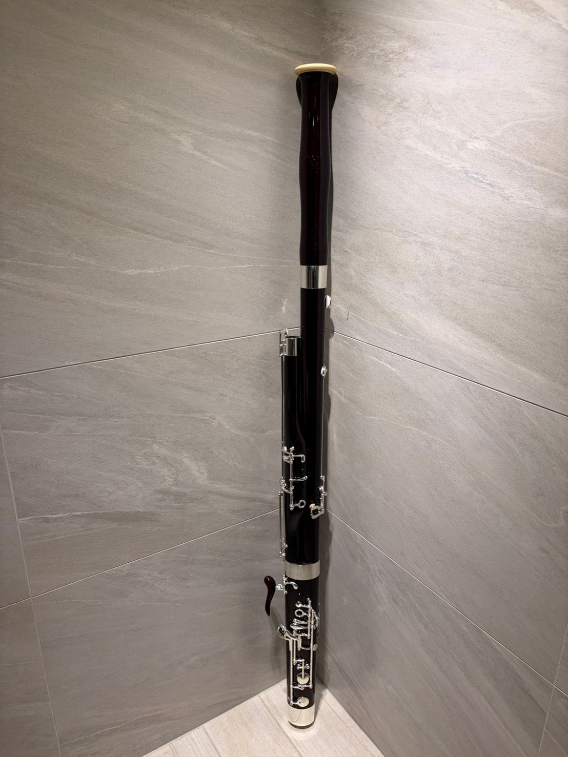 出租 - 初階低音管